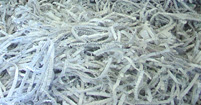 Shredded Paper